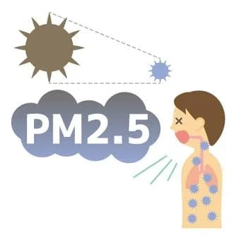 Bụi mịn PM2.5 là gì ?